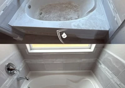 Professional Cleaning Services